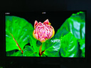 三星（SAMSUNG）27英寸 G61SD QD-OLED 240Hz 2K 0.03msGTG 防燒屏技術(shù)防眩光玄龍騎士 電競(jìng)顯示器 LS27DG610SCXXF 曬單實(shí)拍圖