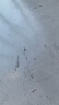 得力騎行打氣筒 高壓打氣筒自行車摩托電動(dòng)車籃球充氣泵英美法嘴通用 曬單實(shí)拍圖