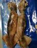 獐子島 冷凍整只魷魚1斤 5-7條 鐵板魷魚火鍋燒烤食材 海鮮軟足 曬單實拍圖
