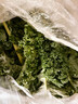 京鮮生 云南羽衣甘藍凈重2斤裝 輕食健身 榨汁涼拌新鮮蔬菜 源頭直發(fā) 曬單實(shí)拍圖