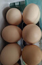 谷物鮮雞蛋 農戶(hù)散養新鮮雞蛋 單枚50g±5 15枚（50克/枚） 曬單實(shí)拍圖
