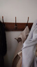 掛衣架墻上壁掛衣服掛鉤掛衣鉤進(jìn)門(mén)玄關(guān)入戶(hù)門(mén)后口鑰匙免打孔實(shí)木 胡桃色【8鉤】強力承重實(shí)木 曬單實(shí)拍圖