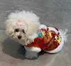 阿莫爾狗狗衣服秋冬季皇帝龍袍裝新年保暖棉衣貓咪泰迪過(guò)年加厚寵物唐裝 新年皇袍【紅色】 M【建議5-8斤 參考胸圍背長(cháng)】 曬單實(shí)拍圖
