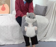 聚莜家暖手寶可愛(ài)倉鼠暖腳寶充電熱水袋女生熱敷暖水袋學(xué)生宿舍保暖神器 倉鼠暖手捂【配充電熱水袋+可拆洗外套】 曬單實(shí)拍圖