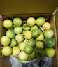 張小壯百香果 黃金果 廣西欽蜜9號黃金百香果9號新鮮生鮮白香果水果 精選2.8-3斤單斤約11-13個(gè) 曬單實(shí)拍圖