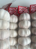 新鮮山東大蒜頭干蒜商超出口批發(fā)產(chǎn)地直發(fā)紫白皮即食水果生鮮調料 1500g（3斤） 5.5-6.0厘米以上干蒜出口級小網(wǎng)兜可種植 曬單實(shí)拍圖