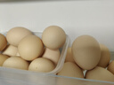 七鮮 安心無(wú)抗鮮雞蛋30枚1.59kg 曬單實(shí)拍圖