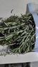 迷迭香新鮮 西餐烤肉香料 迷迭香葉 順豐速運 500g 曬單實(shí)拍圖
