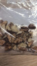 陜西秦嶺大山今年新山核桃老品種油香核桃老樹(shù)薄皮核桃裝原味 野生山核桃【2斤】中果 曬單實(shí)拍圖