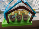 iosn陽(yáng)光房種植兒童玩具材料包植物觀(guān)察迷你種植花園房科學(xué)小實(shí)驗套裝 單層陽(yáng)光房-6包種子+工具 觀(guān)察植物生長(cháng)丨感受大自然的美 曬單實(shí)拍圖