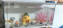 小米魚(yú)缸水泵原裝配件濾芯替換改造米家智能魚(yú)缸水泵倉生化物理模塊 小米魚(yú)缸水泵正品 曬單實(shí)拍圖