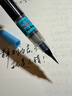 派通（Pentel）科學(xué)毛筆 小楷書(shū)法軟毛筆練字書(shū)寫(xiě) 可換芯毛筆 XFL2F 黑色熱門(mén)商品 曬單實(shí)拍圖