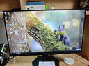 HKC23.8英寸2K滿血電競顯示器 180Hz高刷 FastIPS廣色域 1ms快速響應 HDR400 旋轉升降 獵鷹二代G24H2 獵鷹二代G24H2/2K180Hz升降旋轉 曬單實拍圖