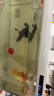 畫(huà)法幾何 智能魚(yú)缸接入米家生態(tài) 智能魚(yú)缸+專(zhuān)用增氧泵套裝 曬單實(shí)拍圖