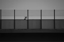 索尼（SONY）Alpha 7C II 新一代全畫(huà)幅雙影像小“7” A7C2 A7C二代A7Cii 創(chuàng  )意濾鏡 7C2單機身 黑 國補 官方標配【贈八件套禮盒+皮套+黑曜肩帶】 曬單實(shí)拍圖