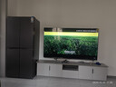 海信電視75E3NH Pro 75英寸 264Hz高刷 高色域 2.2重低音 智能Wi-Fi6 大內(nèi)存 國家補(bǔ)貼20%平板電視 曬單實拍圖
