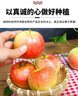 顧果鮮2025正宗嘎啦蘋(píng)果應當季新鮮孕婦水果脆甜富士青蘋(píng)果冰糖丑蘋(píng)果 5斤大果【單果70mm+】?jì)糁?.5斤 曬單實(shí)拍圖