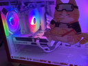 七彩虹橘貓定制主機酷睿i5 13400F RTX5060Ti顯卡臺式機電腦4060Ti吃雞游戲AI直播設計DIY組裝整機 配三丨i5 13400F丨RTX5060 8G 丨32GB內存丨512GB M 曬單實(shí)拍圖