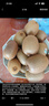 佳沛（zespri）新西蘭 陽(yáng)光金奇異果12粒禮盒特大果單果約122-146g 獼猴桃 水果 曬單實(shí)拍圖