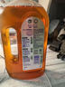 滴露（Dettol）消毒液消毒水1.2L衣物除菌液家居寵物環(huán)境地板殺菌除螨 非84酒精 曬單實(shí)拍圖