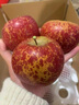 譯蒙之味四川大涼山冰糖心丑蘋(píng)果鹽源特產(chǎn)新鮮孕婦水果禮盒甜心整箱 5斤大果【更大更甜】 曬單實(shí)拍圖