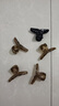 4CM果凍色半透明小抓夾半扎發(fā)小號鯊魚(yú)夾甜美交叉碎發(fā)夾 果凍色小抓夾5個(gè) 曬單實(shí)拍圖