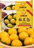 在旗 黏豆包黃米紅豆500g*2袋 共20個(gè) 東北粘豆包 粗糧雜糧 手工特產(chǎn) 曬單實(shí)拍圖