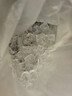 鮮活大海白蝦300g（約12-18只） 曬單實(shí)拍圖