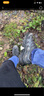 邁樂(lè )（Merrell）運動(dòng)戶(hù)外徒步鞋FREE STRIDE邁行男女款減震防滑登山戶(hù)外通勤鞋 MT6325102-01黑色男女同款 39 曬單實(shí)拍圖