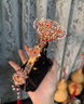 如意拼圖十里紅妝點(diǎn)翠鳳冠首飾盒立體拼裝金屬模型拼圖結婚禮物 如我心意+工具+防塵罩 曬單實(shí)拍圖