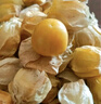 京鮮生 東北特產(chǎn)姑娘果 凈重1斤裝 黃姑娘果菇娘果燈籠果源頭直發(fā)包郵 曬單實(shí)拍圖