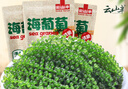 云山半鹽漬海葡萄100g*3即食兒童涼拌菜魚(yú)子醬火鍋商家用贈6種蘸料海藻 曬單實(shí)拍圖