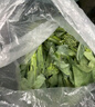 京鮮生云南新鮮西蘭苔 長(cháng)桿西蘭苔 清甜脆嫩 加冰保鮮凈重2.5斤源頭直發(fā) 曬單實(shí)拍圖