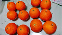 四川眉山愛(ài)媛38號果凍橙9斤新鮮水果當季現摘薄皮無(wú)籽柑橘蜜桔子Y 9斤 大果【70-75mm】 曬單實(shí)拍圖