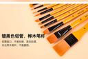 蒙瑪特(Mont Marte)丙烯畫(huà)筆10支裝 丙烯顏料畫(huà)畫(huà)筆美術(shù)勾線(xiàn)筆兒童學(xué)生繪畫(huà)筆涂鴉排筆筆刷套裝BMHS0030CN 速寫(xiě) 馬克筆繪畫(huà) 曬單實(shí)拍圖