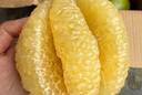 京鮮生 泰國青柚 青皮白心蜜柚 1粒裝 單果600g+ 源頭直發(fā)包郵 曬單實(shí)拍圖