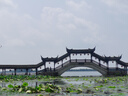 EAEOVNI短袖襯衫女職業(yè)裝夏季棉女士白色襯衣通勤面試銀行正裝氣質(zhì)工作服 純白色短袖【方.領(lǐng)】 39 【118-128斤】 曬單實(shí)拍圖