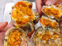 【活蟹】澄湖掌柜大閘蟹 鮮活螃蟹蘇州精品大閘蟹 水產(chǎn)生鮮禮盒 精品全母蟹3.0-3.3兩 5對10只 蘇州精品大閘蟹 曬單實(shí)拍圖