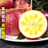 閩域尋鮮冰糖心丑蘋(píng)果【多地次日達】高山種植蘋(píng)果中秋水果生鮮丑蘋(píng)果 5斤活動(dòng)款 單果60-70mm（凈重4.5斤） 糖心蘋(píng)果愛(ài)好者首選 曬單實(shí)拍圖