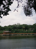 優(yōu)衣庫女裝SUPIMA COTTON圓領(lǐng)T恤短袖打底內搭474408 00 白色 S /155/80A 曬單實(shí)拍圖