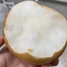 融鮮山東萊陽(yáng)秋月梨新鮮水果禮盒冰糖雪梨子當季應季水果中秋節送禮物 5斤精選果丨單果9兩+ 凈重4.5斤 曬單實(shí)拍圖