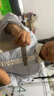 hpU盤(pán)2t大容量雙接口電腦安卓鴻蒙手機typec通用高速商務(wù)辦公定制 電腦usb/typec接口 2TB 曬單實(shí)拍圖