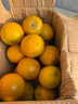 壹萌果蔬廣西皇帝柑純甜【多地次日達】新鮮水果薄皮蜜桔橘子沃貢柑貢桔子 凈重4.5斤裝【80%選擇丨超值推薦】 王者級｜單果65mm+【稀有果王】 曬單實(shí)拍圖