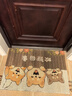 艾杰普絲圈入戶(hù)門(mén)地墊大門(mén)口進(jìn)戶(hù)門(mén)廚房浴室腳墊子可裁剪防滑墊進(jìn)門(mén)地毯 曬單實(shí)拍圖