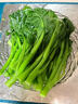 廣東菜心新鮮廣東菜花當季油菜心鮮嫩清甜新鮮蔬菜甜菜心菜苔綠葉 3斤裝 順豐冷鏈【包郵到家】 曬單實(shí)拍圖