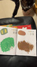 漢狀元兒童畫(huà)畫(huà)本寶寶涂色書(shū)2-3-6歲幼兒園涂鴉填色繪本圖畫(huà)繪畫(huà)冊套裝生日禮物 全套6本共288頁(yè)【不含油畫(huà)棒】 曬單實(shí)拍圖
