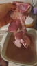 安格斯原切谷飼牛腱子新鮮牛肉兒童夏季廚房必備生鮮食材 原切牛腱子4斤 曬單實(shí)拍圖