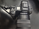 佳能（Canon）EOS R5 Mark II RF24-105mm F4L IS USM套機 佳能R5二代 全幅專(zhuān)微相機 8K視頻 【進(jìn)階存儲套裝】 曬單實(shí)拍圖