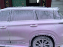 綠田（LUTIAN）粉紅女郎預洗液洗車(chē)液飛雪高泡洗車(chē)水蠟汽車(chē)清潔劑泡沫劑 粉紅女郎 483ml 1瓶 個(gè)人推薦裝 曬單實(shí)拍圖
