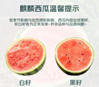 【產(chǎn)地直采】麒麟奶油西瓜 約4.5kg 曬單實(shí)拍圖
